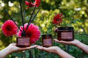 Barossa in Blush ~ Soy Candles