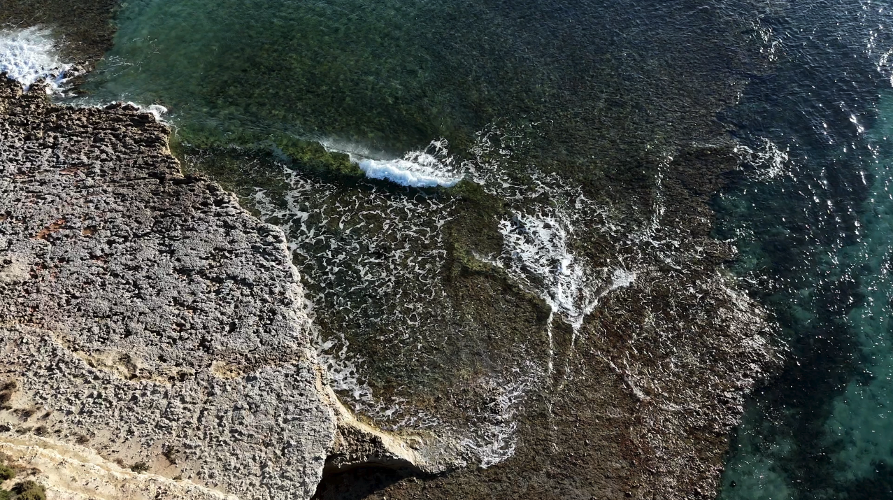 Fleurieu.png