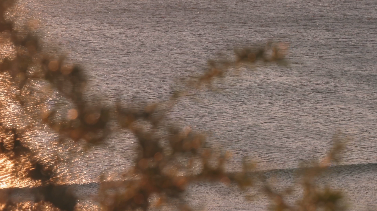 Freycinet.png