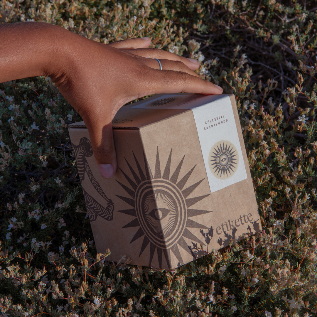 IntheMiddleoftheSunboxnature_537fb57e-79ff-4d95-b8d1-4a5556d570ee.png