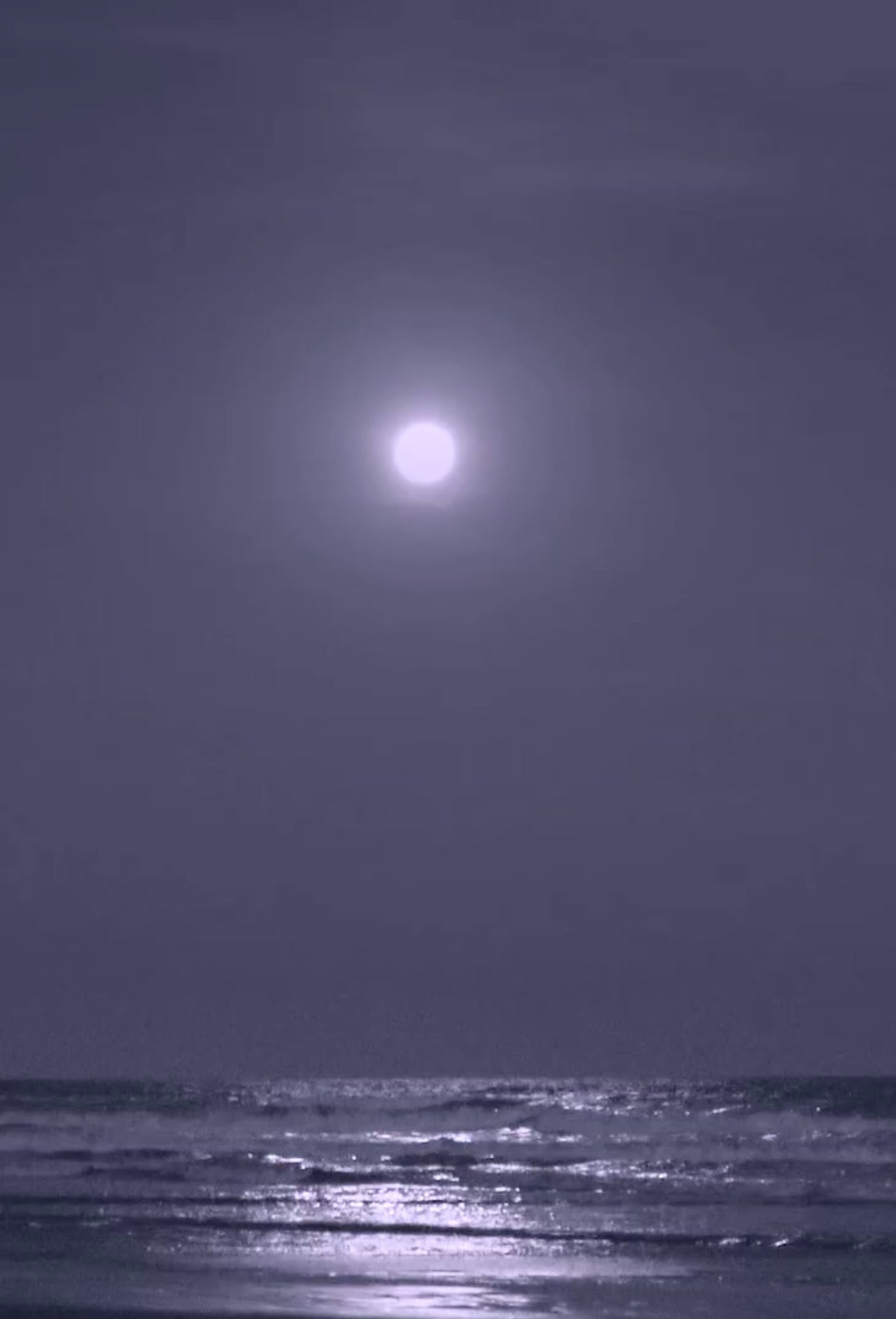 IMG_6425.jpg
