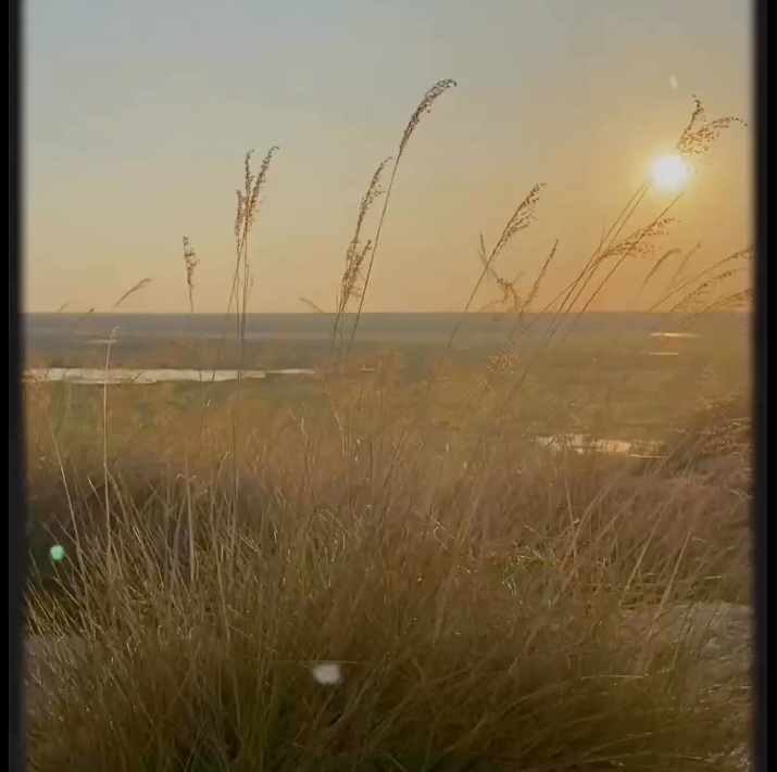 Montage_Video_stills4.png