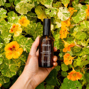 The Intentional Ritual Bundle ~ Freycinet in Coastal Moss & Sea Salt