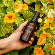 The Everyday Ritual Bundle ~ Freycinet in Coastal Moss & Sea Salt