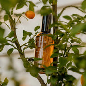 Otways Room Mist in Bush Botanicals