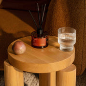 The Full Atmosphere Bundle ~ Wilpena in Cactus Flower