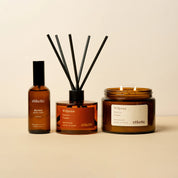 The Full Atmosphere Bundle ~ Wilpena in Cactus Flower