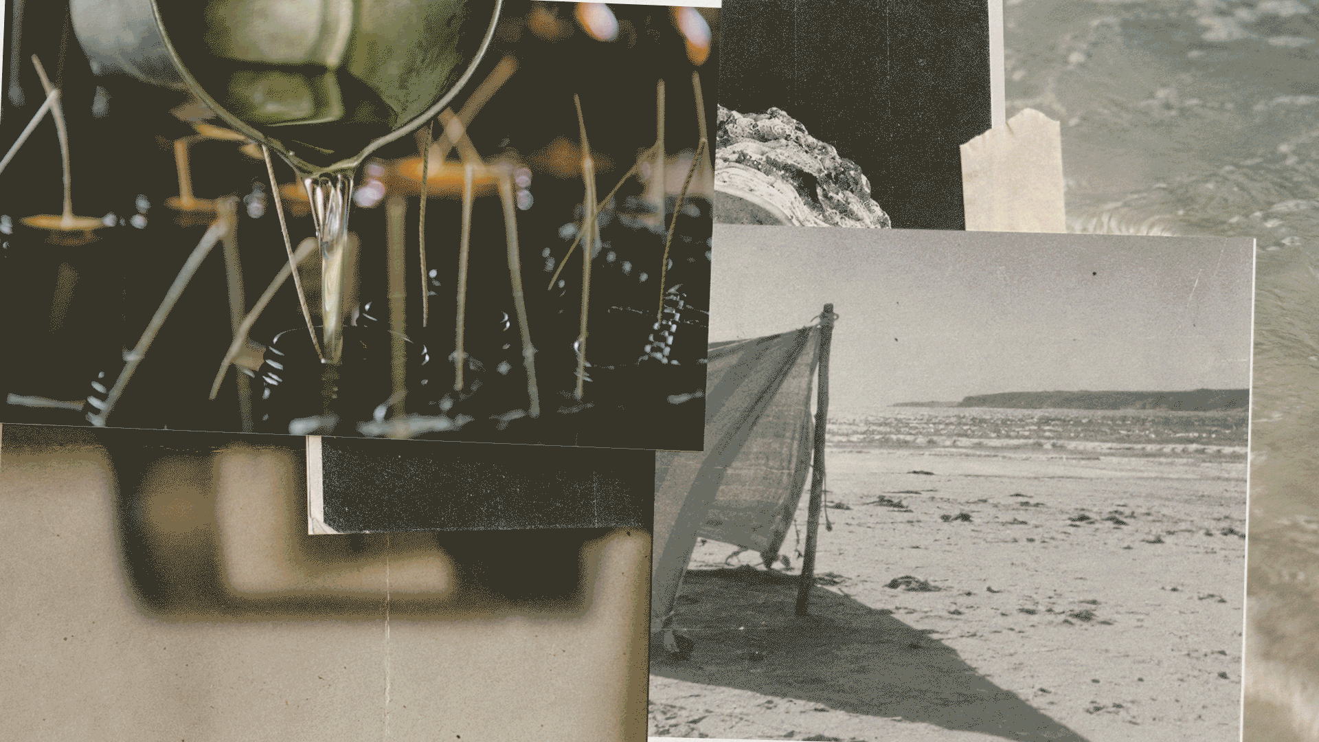 desktop_banner_10th_bday_e22af1df-90d3-434d-94ad-e46060ab465a.gif