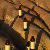 Eco Reed Diffuser & Refill Bundle ~ Kiama