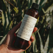 Eco Reed Diffuser Refill ~ Wilpena in Cactus Flower