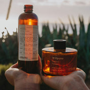 Eco Reed Diffuser Refill ~ Wilpena in Cactus Flower