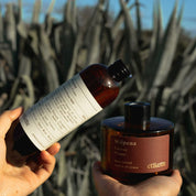 Eco Reed Diffuser Refill ~ Wilpena in Cactus Flower