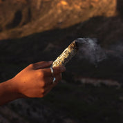 White Sage Stick Duo